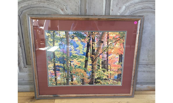 Big image img 3982 1 