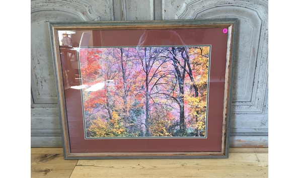 Big image img 3984 1 