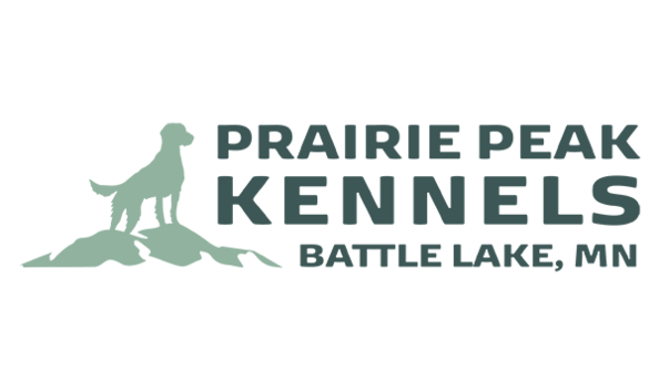 Big image ppk banner color 1 300x