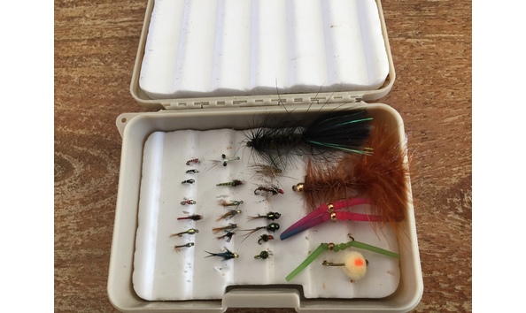 Big image img 3958 1 