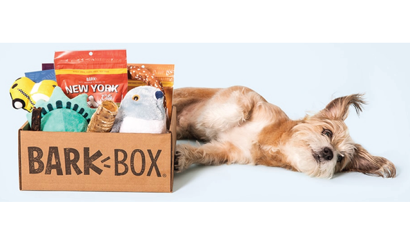 Big image barkbox