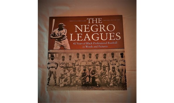Big image book the negro...