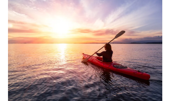 Big image mini magick20240930 1170 10mnkwe