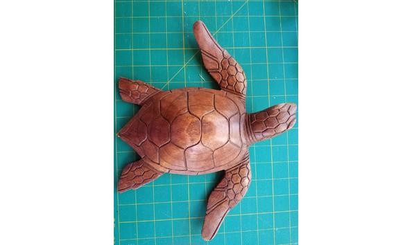 Big image wooden turtle 20231009 171113