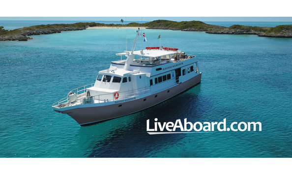 Big image photo with logo in corner