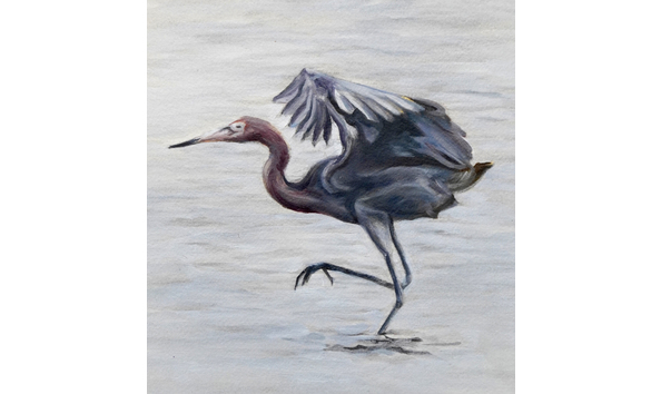 Big image reddish 9x12 detail