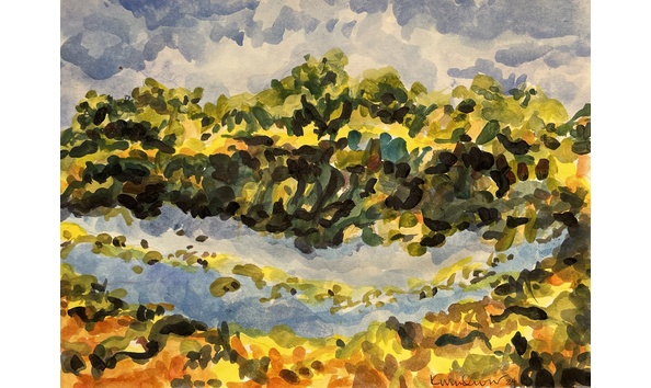 Big image stymie s magic pond ii 2