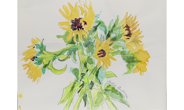 Big image the amazing sunflower