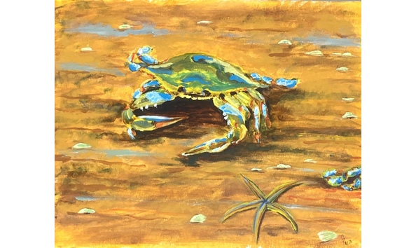 Big image crab n grass