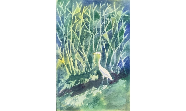 Big image night bird