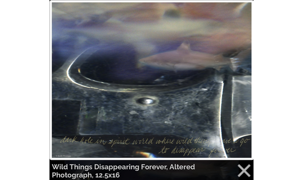 Big image artist photo