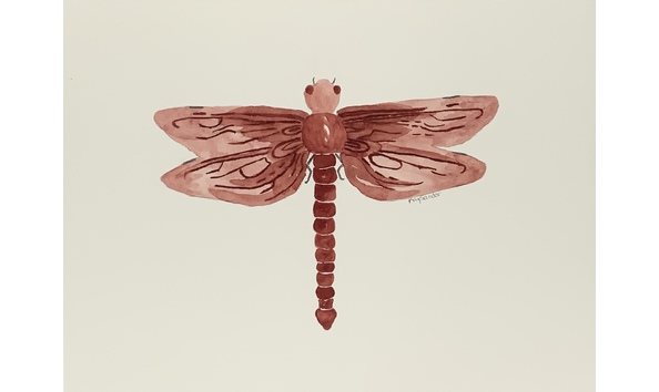 Big image red dragon