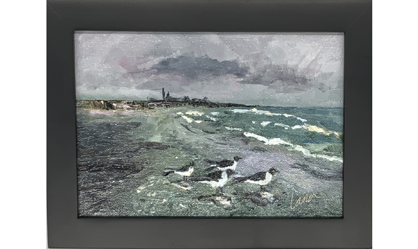 Big image winter gulls at sunset