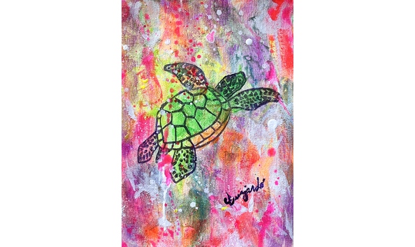 Big image 7 kemp s ridley sea turtle aglow2