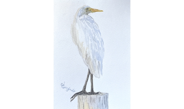 Big image 2 egret gaze2