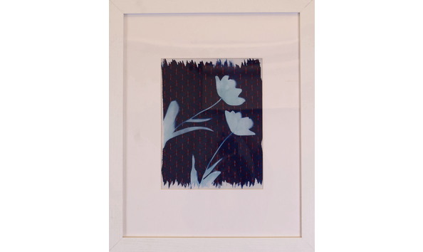 Big image addrayie r tulip 154