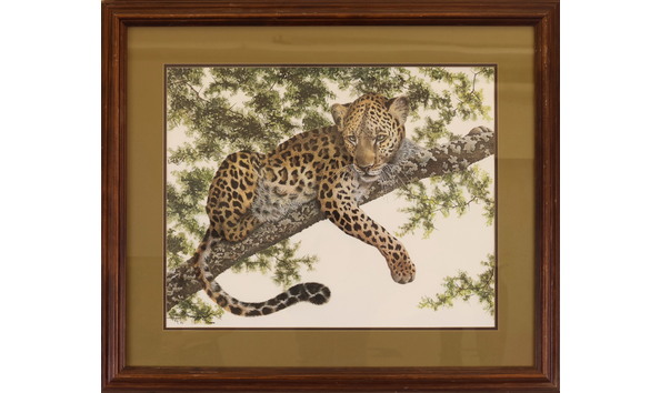 Big image farnsworth i african leopard