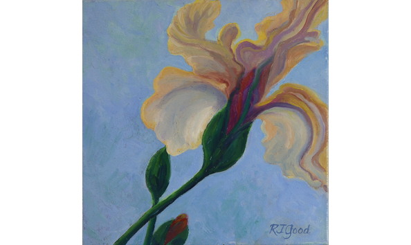 Big image good r iris