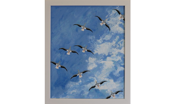 Big image jackisch r pelicans over the beach