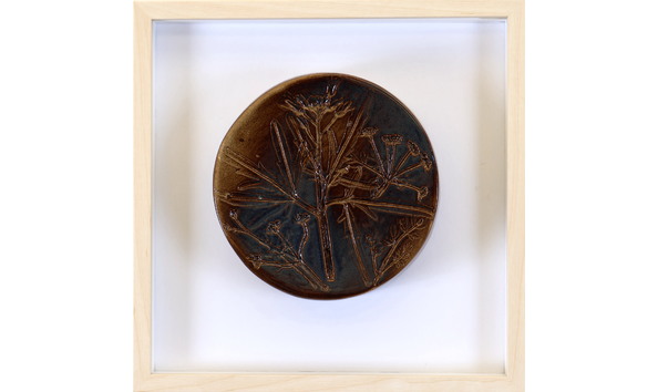 Big image jones a cardamine 24