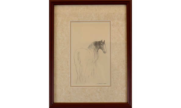 Big image kelly j horse study