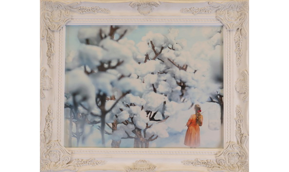 Big image middelkoop k forest of the sky