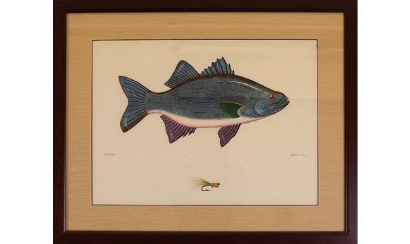 Big image mitra d fish print 2