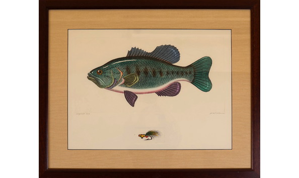 Big image mitra d fish print 1