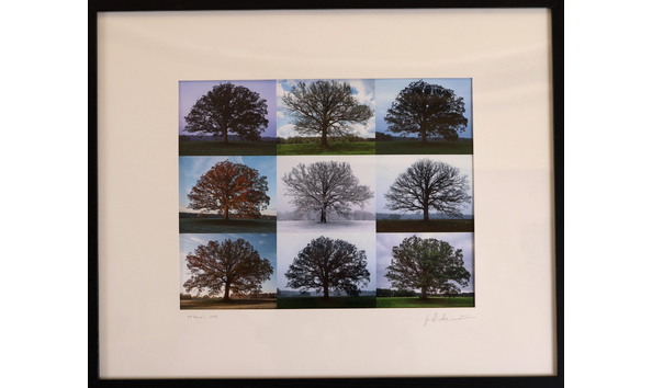 Big image spicer j st. francis oak