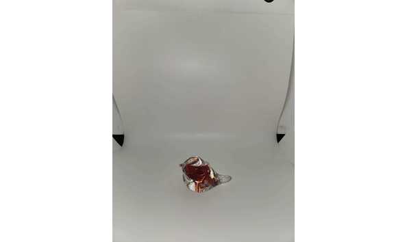 Big image whatsapp image 2024 10 08 at 20.46.11