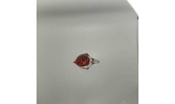 Big image whatsapp image 2024 10 08 at 20.46.11  1 