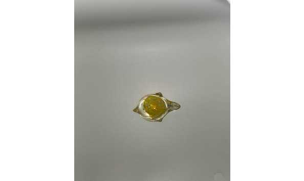 Big image whatsapp image 2024 10 08 at 20.47.56  1 