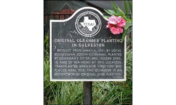 Big image photo211443