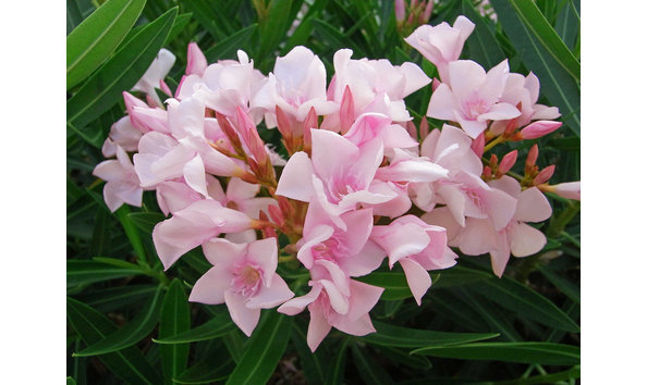 Big image 5803989727 4843ab75ae b