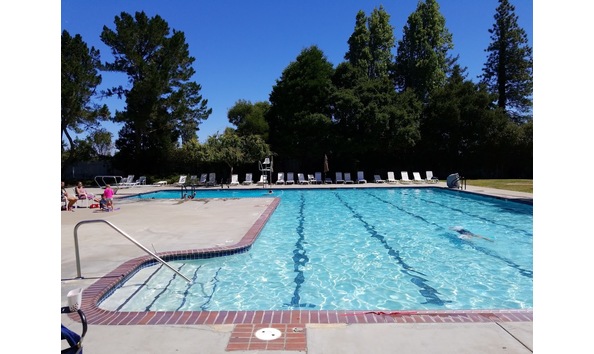 Big image meadowsswimclub