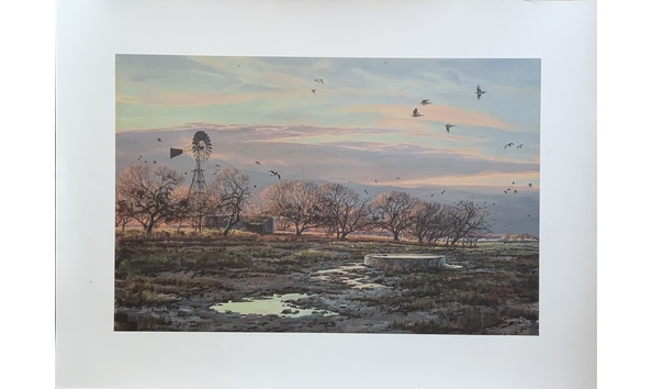 Big image print by herb booth