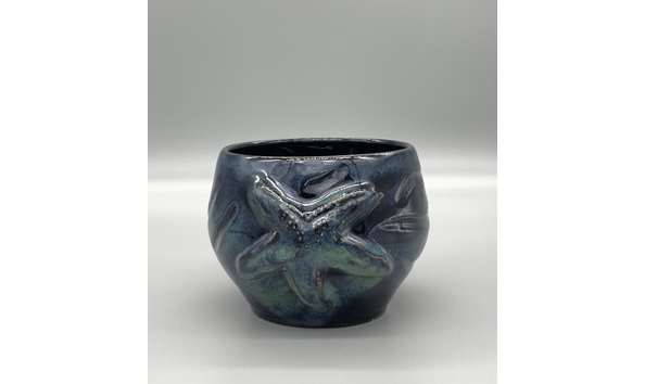 Big image my sea shell collection