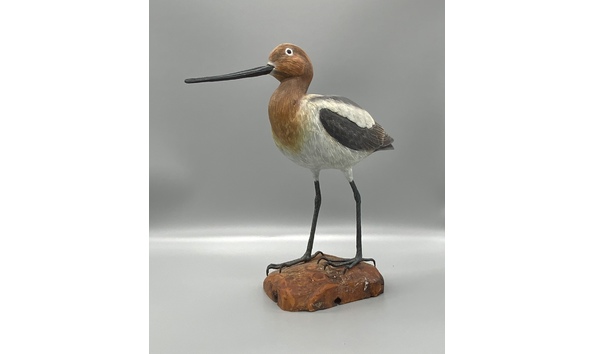 Big image avocet