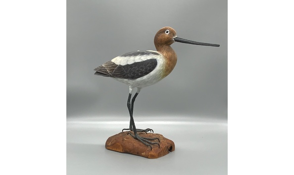 Big image avocet2
