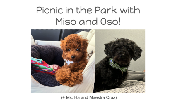 Big image puppy picnic in the park