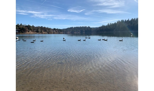 Big image 297b347e 7e51 403a 8a14 3f45b5b680a6