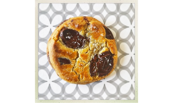 Big image chocolatechipcookie   preston nesbit