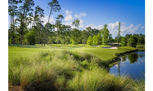 Big image mini magick20241015 1170 zko49x