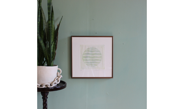 Big image ackerman with plant