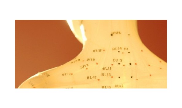 Big image acupressure1