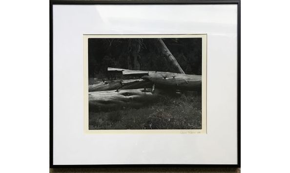 Big image weiss jesse