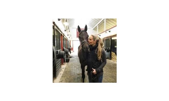 Big image download  4 