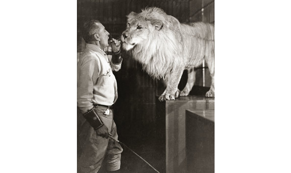 Big image george  bill standing in cage  2 