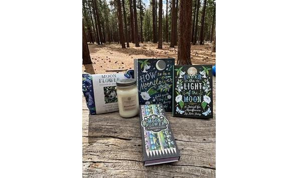 Big image photo oct 29 2024  1 42 53 pm  2 