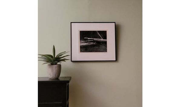 Big image 20241029 165051